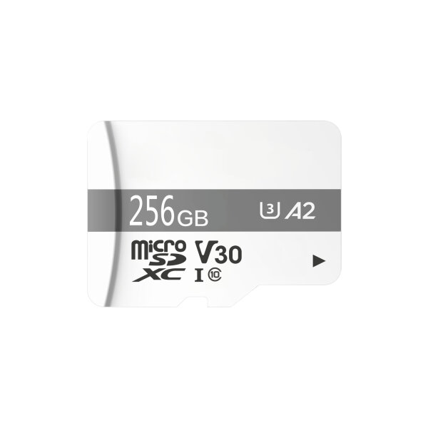 TURM Micro SD Karte 256 GB für IP Kameras, 100 MB/s mit Dahua Logo