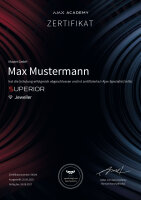 Individuelle Ajax Superior Schulung + Zertifizierung